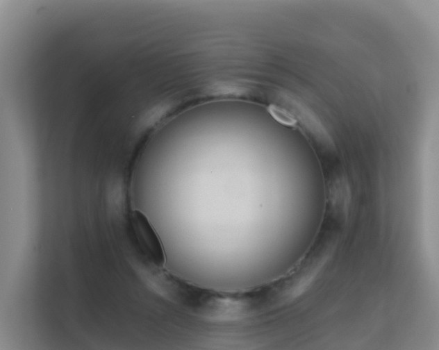 X0000111670352200907241217