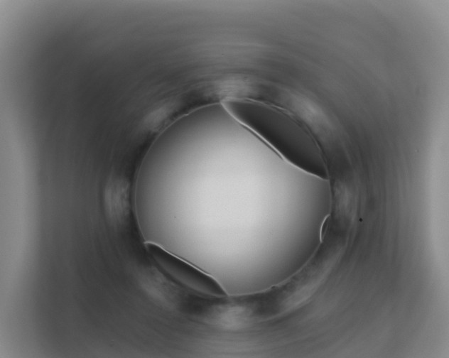 X0000111670356200907241217