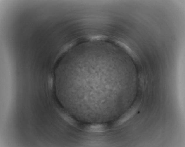 X0000111670357200907241217