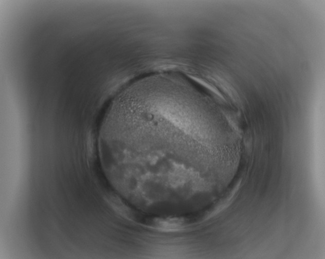 X0000111670359200907241217