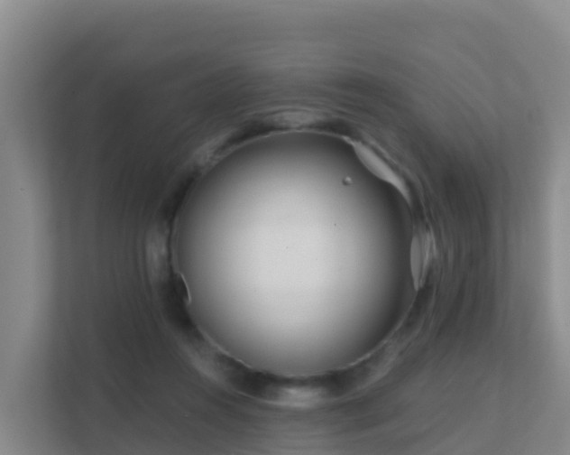 X0000111670360200907241217