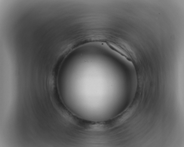 X0000111670362200907241217