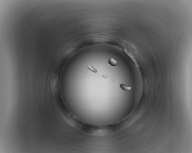 X0000111670364200907241217