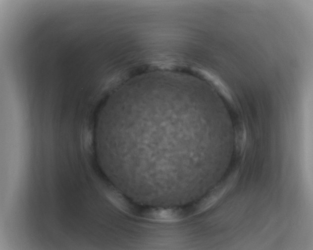 X0000111670365200907241217