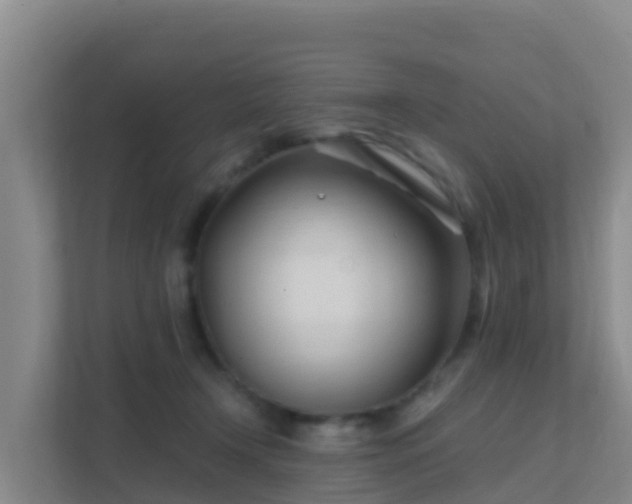 X0000111670366200907241217