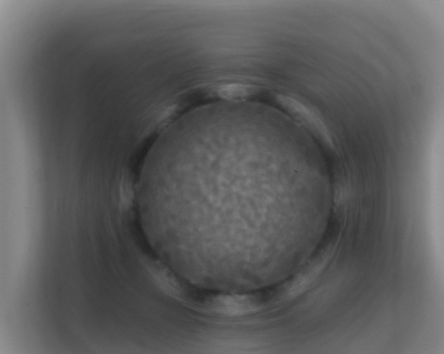 X0000111670367200907241217