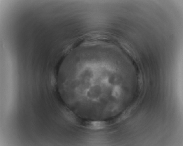 X0000111670371200907241217