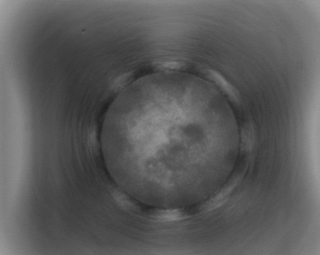 X0000111670377200907241217