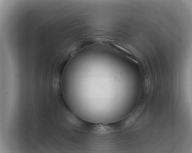 X0000111670379200907241217