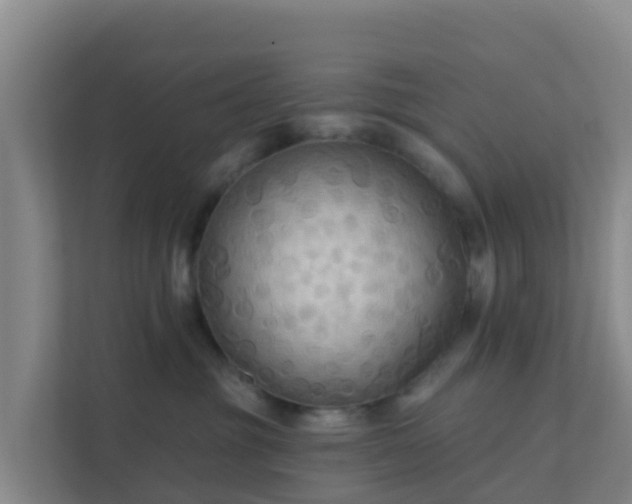 X0000111670381200907241217