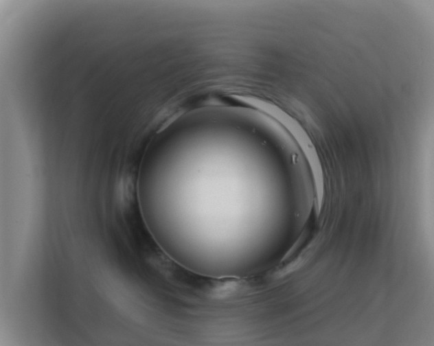 X0000111670382200907241217