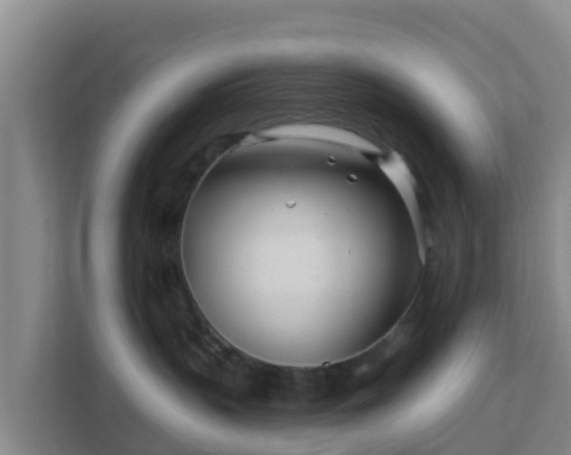 X0000111670383200907241217