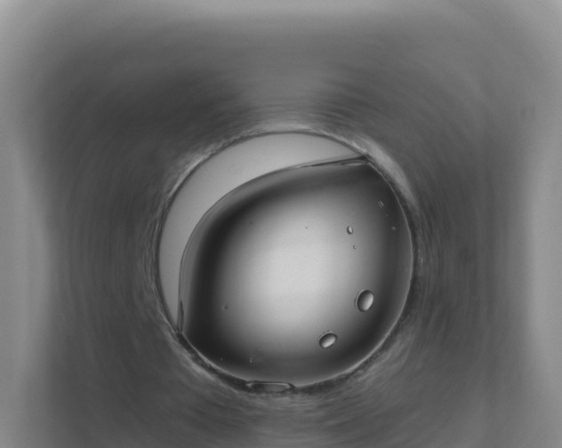 X0000111670385200907241216