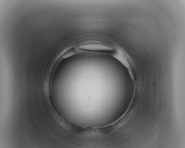 X0000111670386200907241216