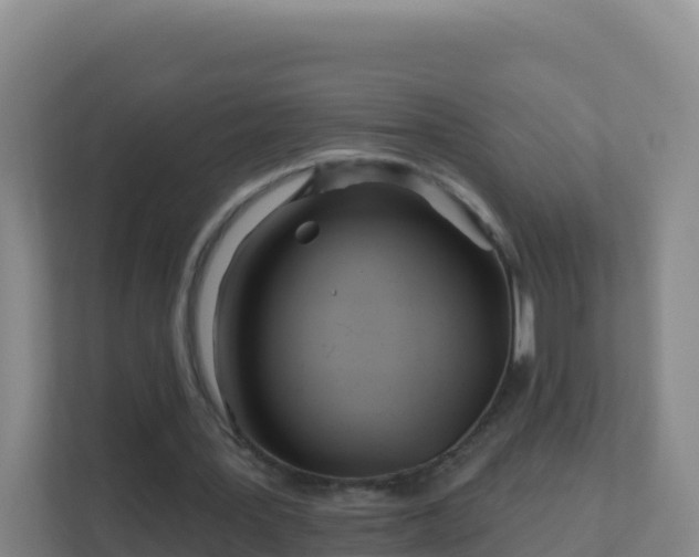 X0000111670387200907241216