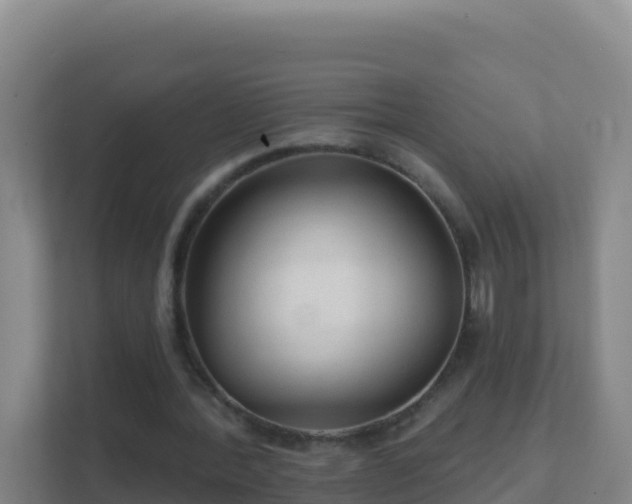 X0000111670388200907241216