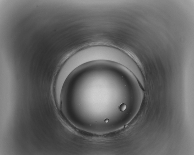 X0000111670389200907241216