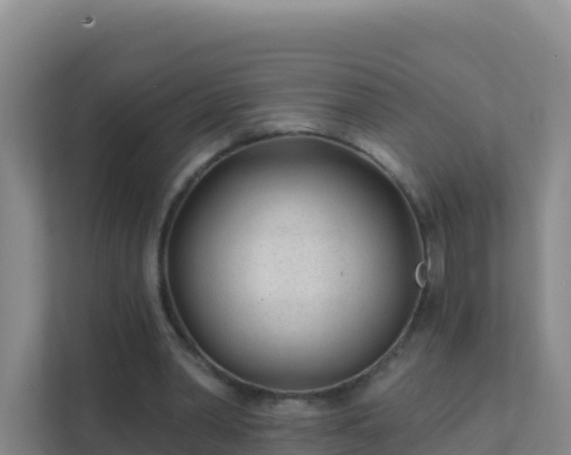 X0000111670390200907241216