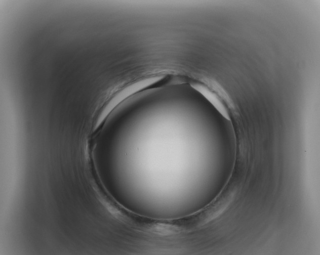 X0000111670393200907241216