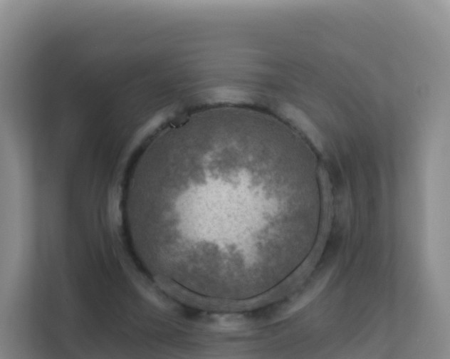 X0000111670395200907241216