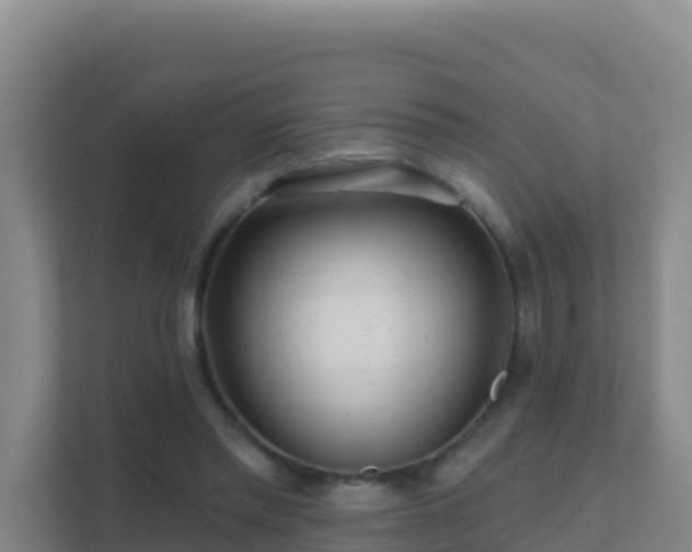 X0000111670397200907241216