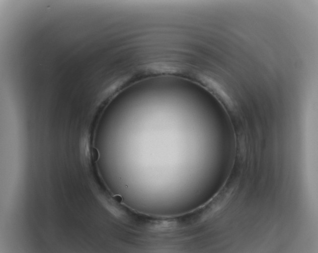 X0000111670398200907241216