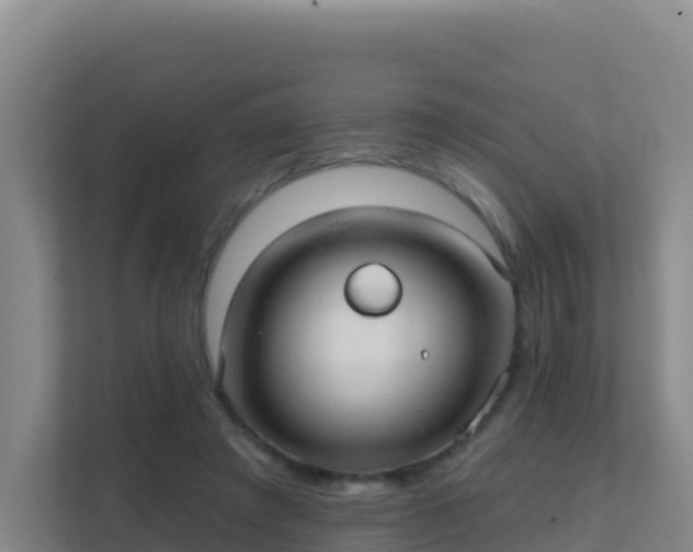 X0000111670401200907241216