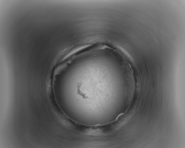 X0000111670403200907241216