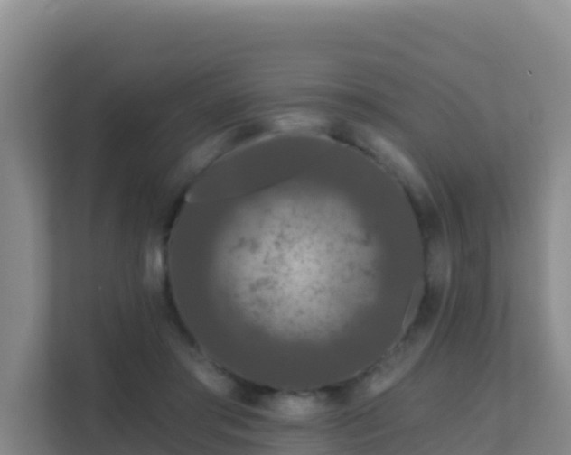 X0000111670405200907241216