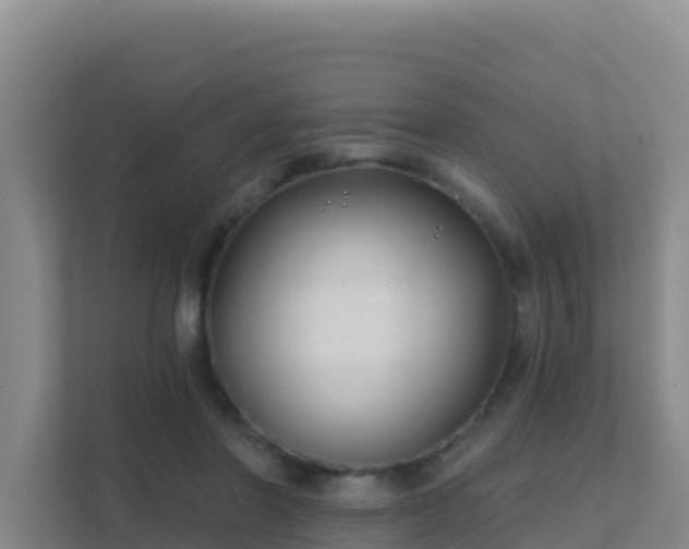 X0000111670406200907241216