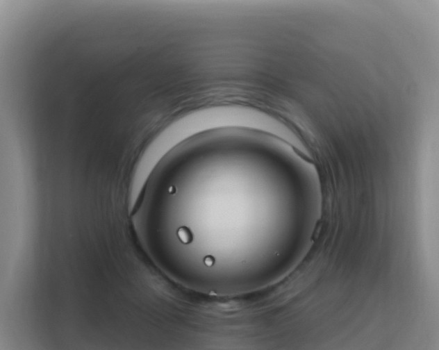 X0000111670411200907241216