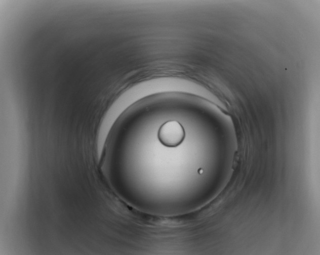 X0000111670413200907241216