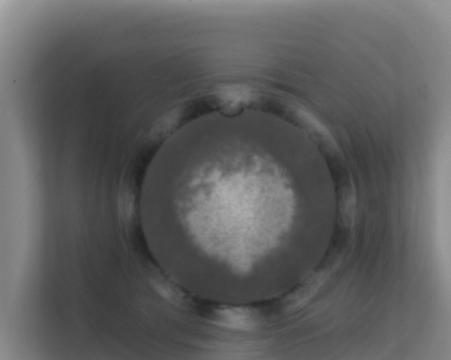 X0000111670417200907241216