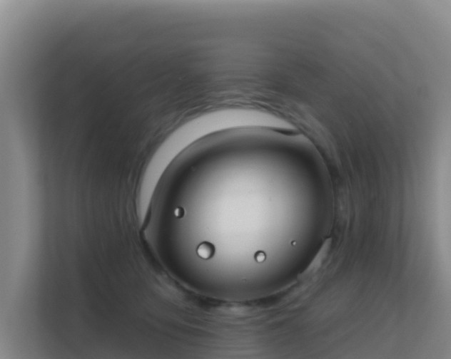 X0000111670419200907241216