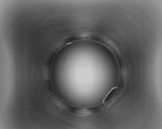 X0000111670421200907241216