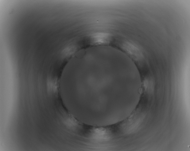 X0000111670423200907241216