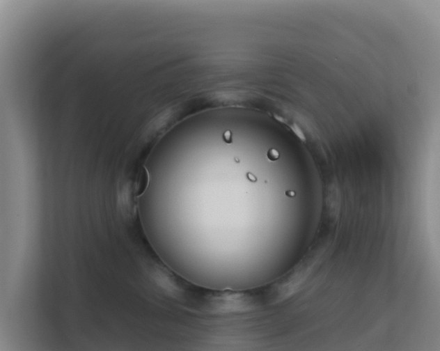 X0000111670428200907241216