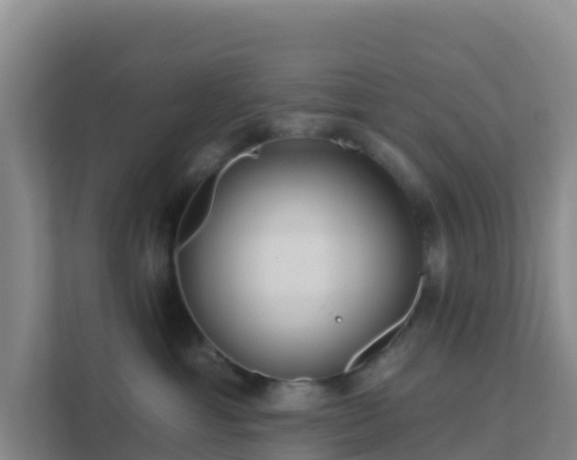 X0000111670429200907241216