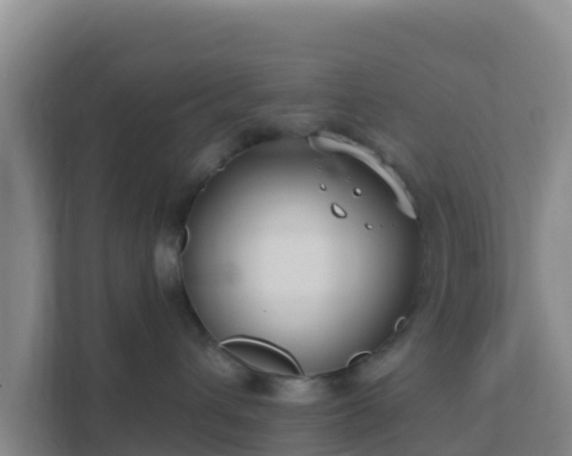 X0000111670432200907241216