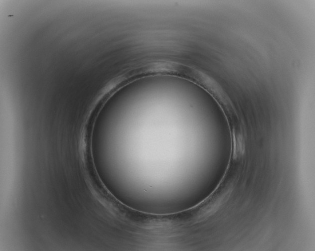 X0000111670435200907241215