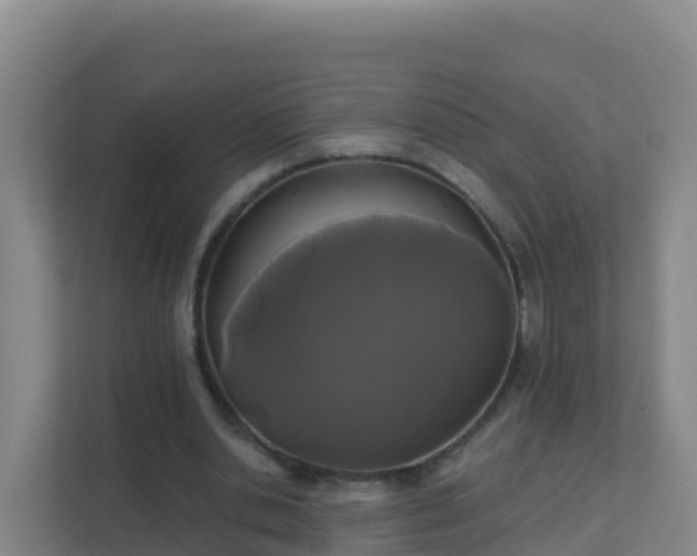 X0000111670438200907241215