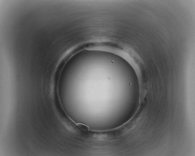 X0000111670440200907241215