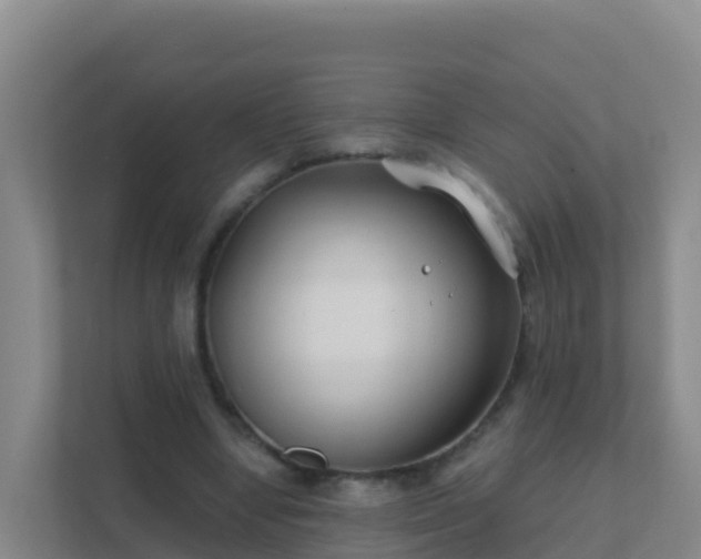 X0000111670442200907241215