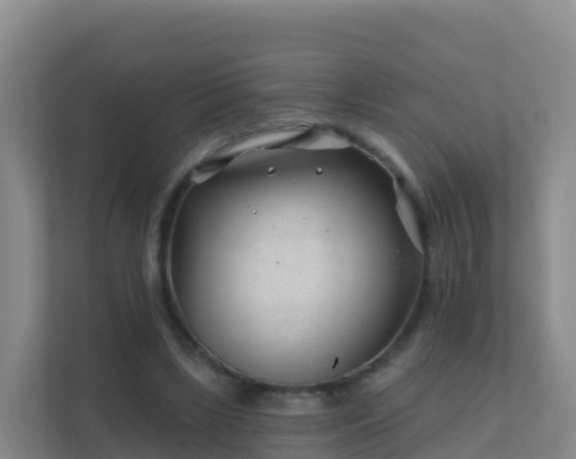 X0000111670443200907241215