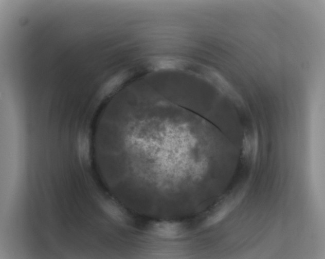 X0000111670444200907241215