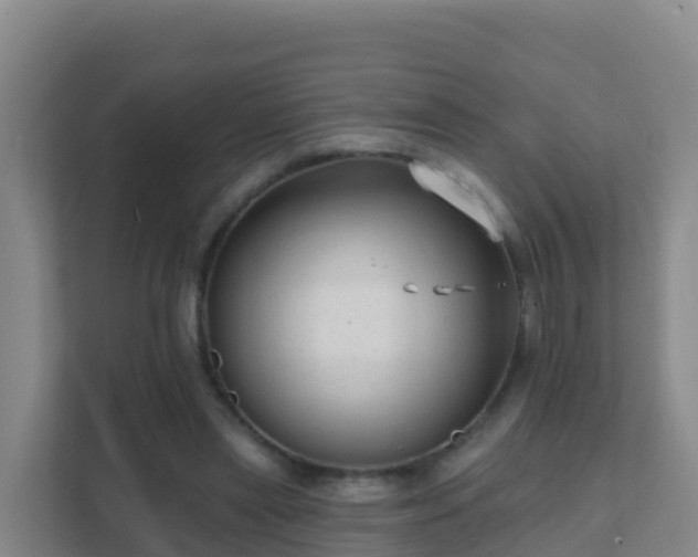 X0000111670445200907241215