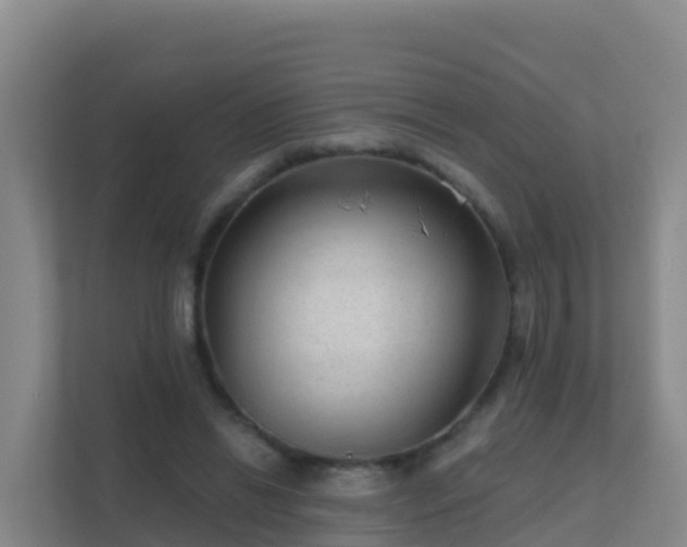 X0000111670446200907241215