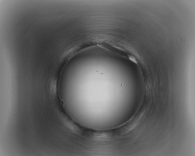 X0000111670454200907241215