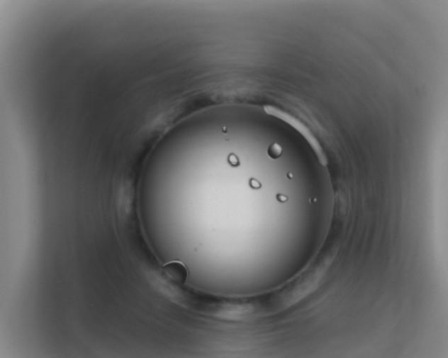 X0000111670458200907241215