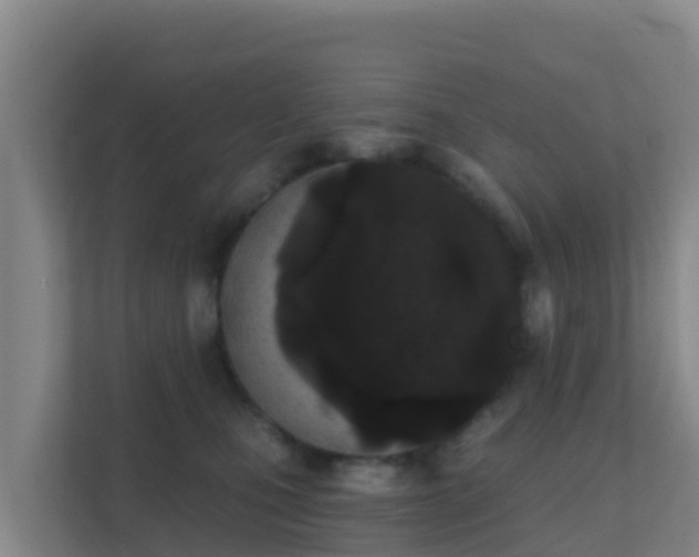 X0000111670471200907241216